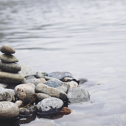 Composición y elementos del Jardín Japones 🥇 | Decora Tu Jardín